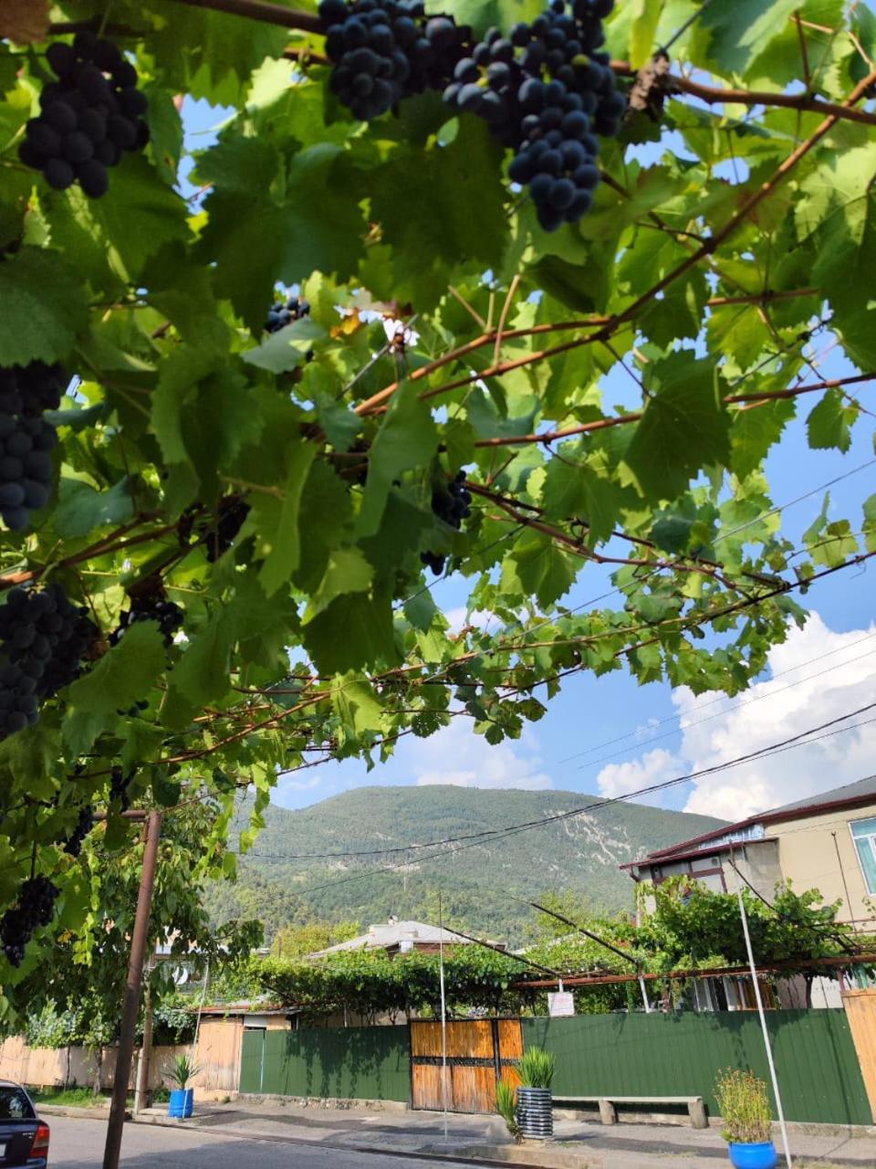 Chveni Ezo Hotel Ambrolauri Exterior photo